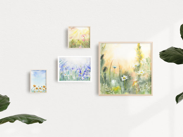 Field of Golden Poppies 5x7 in Fine Art Print