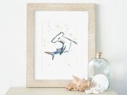 Rainbow Hammerhead 8x10 or 5x7 in Fine Art Print