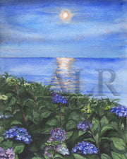 Hydrangea Moonlight 11x14, 8x10 or 5x7 in. Fine Art Print