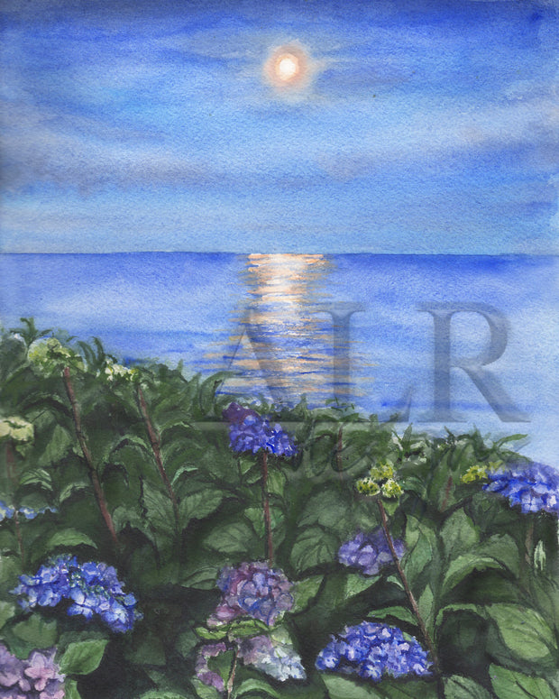 Hydrangea Gallery Set, 5x7 and 8x10 print set.
