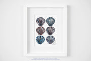 Watercolor Seashells greeting card, blank card, thank you card, coastal art, cards for friends, shell art, nautical greeting cards, birthday