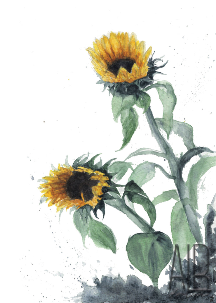 Sunflowers 5x7 Blank Greeting Card