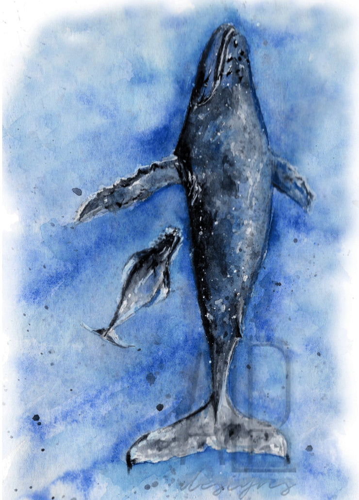 Whale Mom and Calf 5x7 Blank Greeting Card