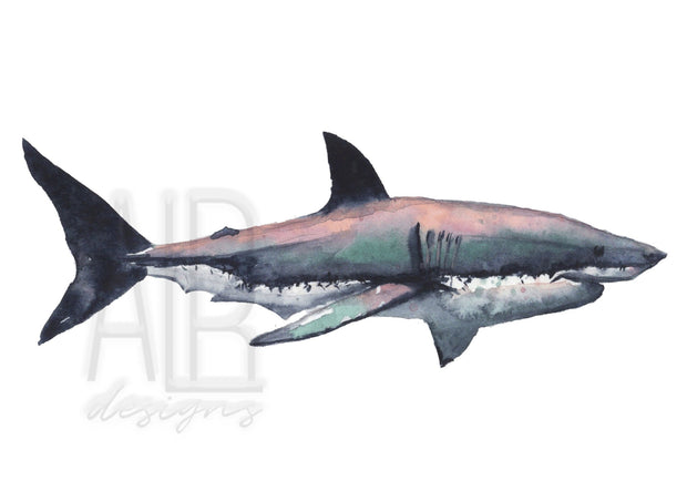 Colorful Shark watercolor print, 8x10 & 5x7  art print, nautical wall art, home decor, office art, coastal decor, funny wall art, shark art