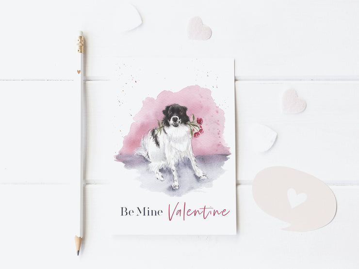 Dog Valentines Day Card 5x7 blank greeting card, for dog lovers, card for partner, card for friend, card for child, cute valentines day card