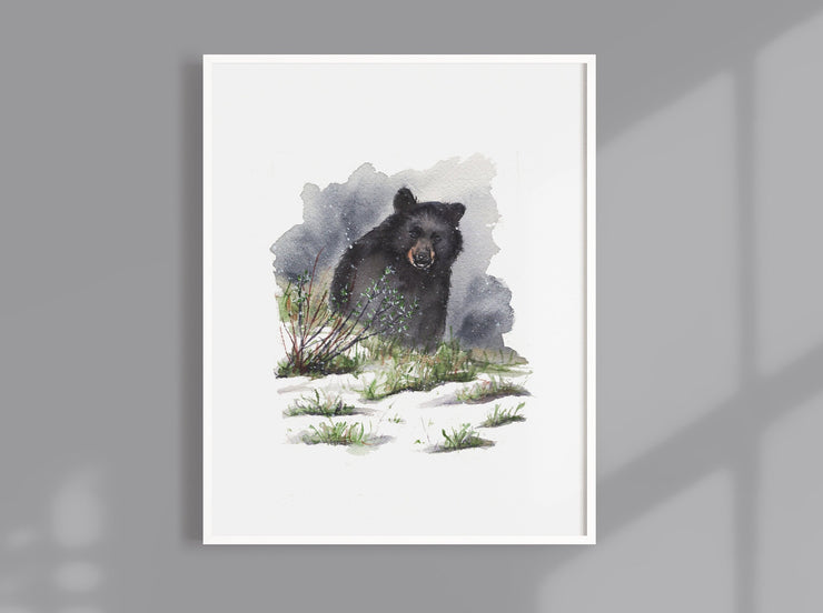 Watercolor Winter Black Bear  8x10 & 5x7 Print, art print, wall art, home decor, animal art, bear painting, winter art
