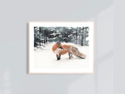 Watercolor Winter Fox  8x10 & 5x7 Print, art print, wall art, home decor, animal art, fox painting, winter art