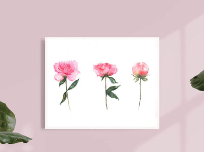 Watercolor Pink Peonies 8x10 & 5x7 Print, art print, wall art, home decor, floral art, flower paintings