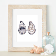 Oyster Shark 5x7 or 8x10 Fine Art Print