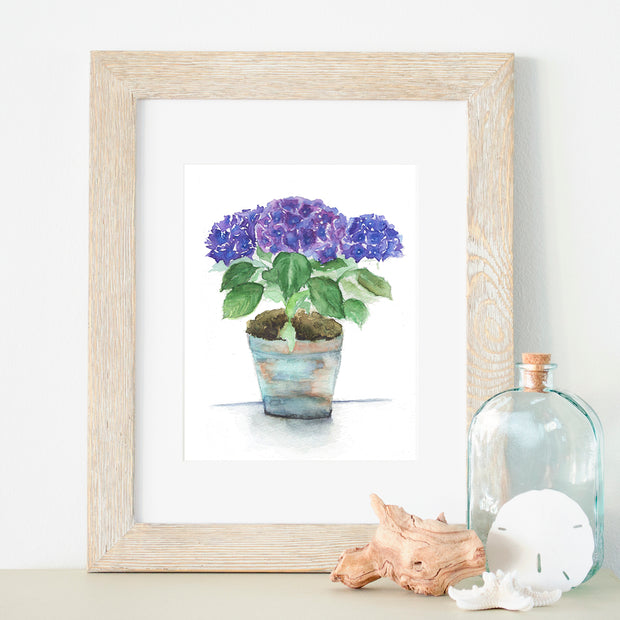 Potted Hydrangea 5x7 or 8x10 Fine Art Print