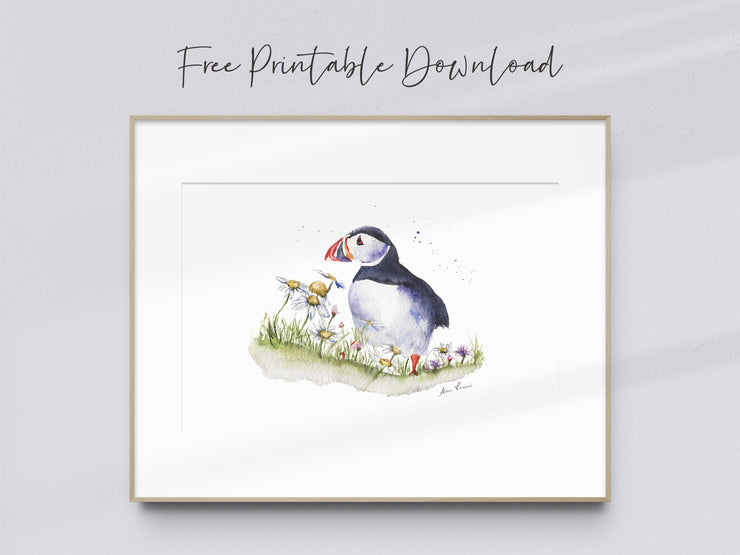 Puffin Freebie 4-1-22