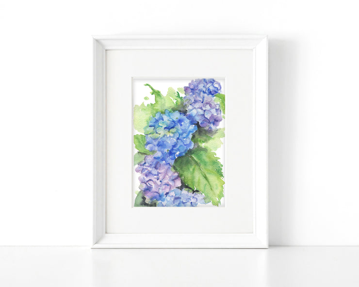 Hydrangea Blooms 5x7 in. Fine Art Print
