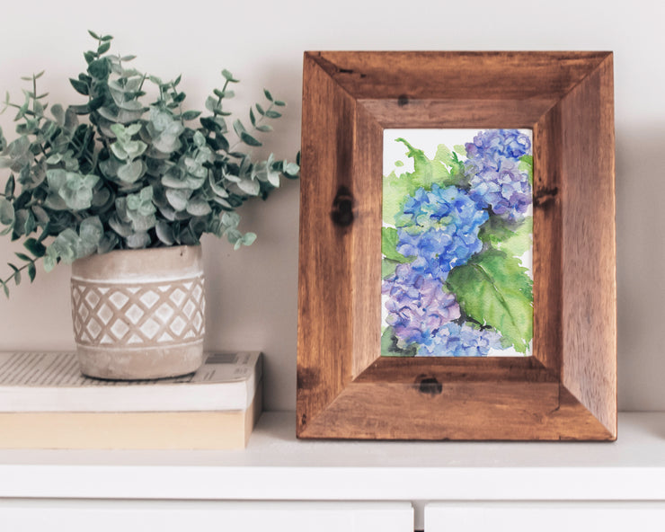 Hydrangea Blooms 5x7 in. Fine Art Print