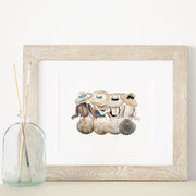 Shell Friend Group, 8x10 or 5x7 P Fine Art Print