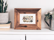 Shell Friend Group, 8x10 or 5x7 P Fine Art Print