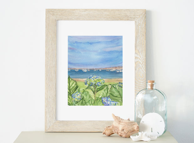 Hyannis Hydrangeas 5x7, 8x10 or 11x14 in. Fine Art Print