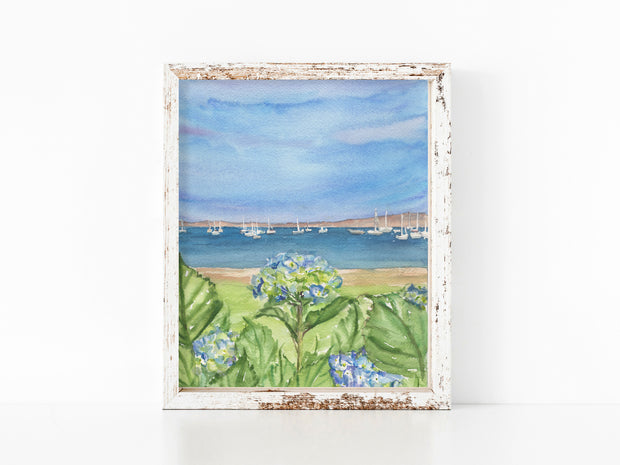Hyannis Hydrangeas 5x7, 8x10 or 11x14 in. Fine Art Print
