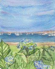 Hyannis Hydrangeas 5x7 Blank Greeting Card