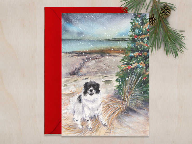 Beach Christmas Dog 5x7 Blank Christmas Greeting Card