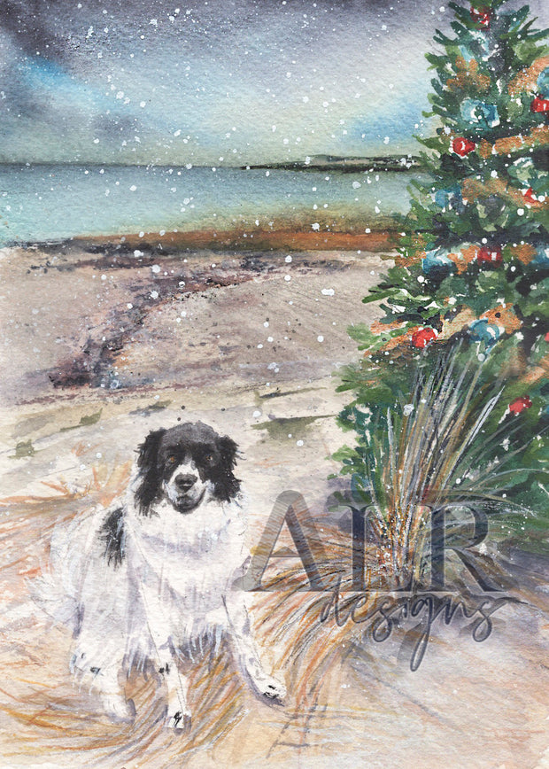 Beach Christmas Dog 5x7 Blank Christmas Greeting Card