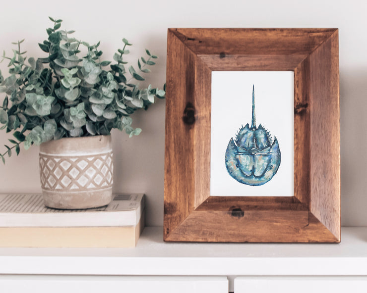 Salty Horseshoe Crab 8x10 or 5x7 in. Fine Art Print
