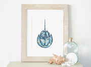 Salty Horseshoe Crab 8x10 or 5x7 in. Fine Art Print