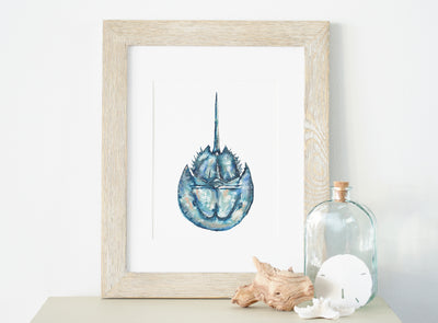 Salty Horseshoe Crab 8x10 or 5x7 in. Fine Art Print