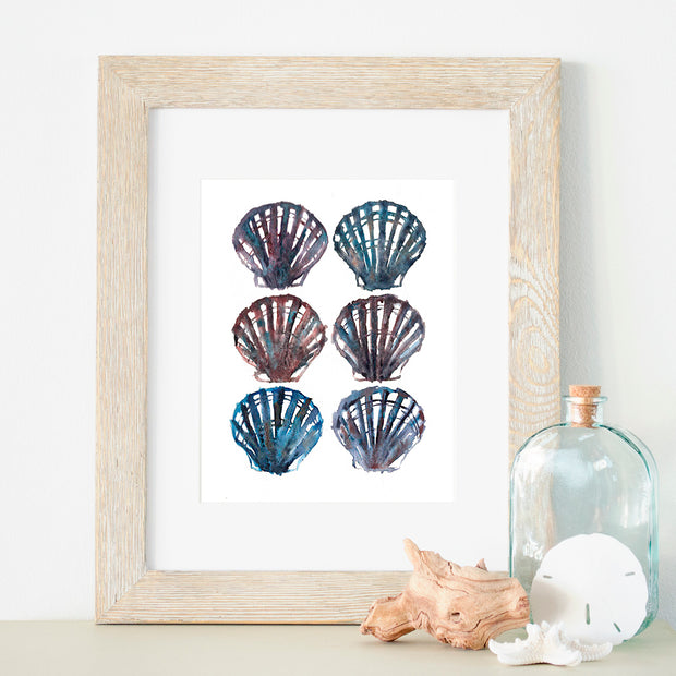 Seashells 5x7 or 8x10 Fine Art Print