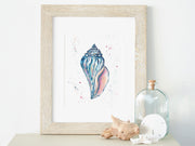 Colorful Conch 8x10 or 5x7 in Fine Art Print