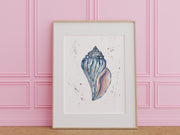 Colorful Conch 8x10 or 5x7 in Fine Art Print