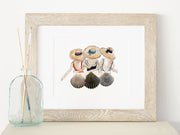 Shell Friends 8x10 or 5x7  Fine Art Print