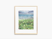 Oceanside Daisies 5x7 in or 8x10 Fine Art Print