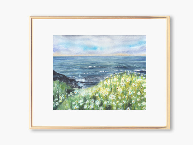 Seaside Daisies 5x7 in or 8x10 Fine Art Print